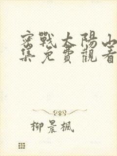 密战太阳山31集免费观看