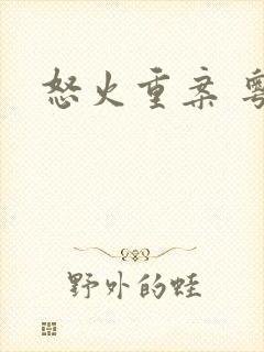 怒火重案 粤语封面
