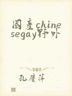 国产chinesegay野外