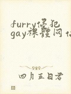 furry侵犯gay裸体网站