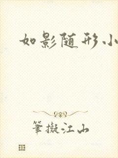 如影随形小说