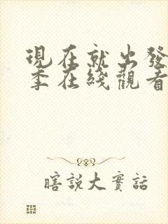现在就出发第二季在线观看完整版免费高清