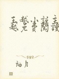 王越小说主角王越免费阅读正版
