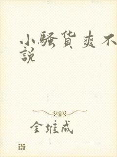 小骚货爽不爽小说