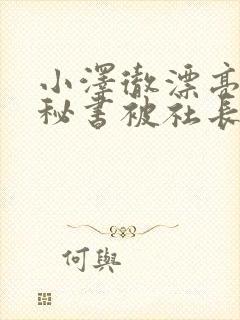 小泽彻漂亮人妻秘书被社长侵犯