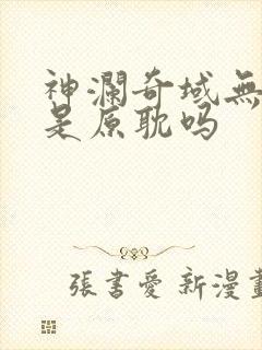 神澜奇域无双珠是原耽吗