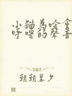 小猫为啥会发出呼噜的声音封面
