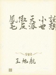凤傲天小说里黄毛反派也想要幸福封面
