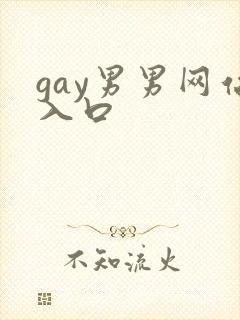 gay男男网站入口