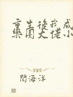 重生后我成了娱乐圈大佬小说