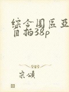 综合图区亚洲偷自拍38p