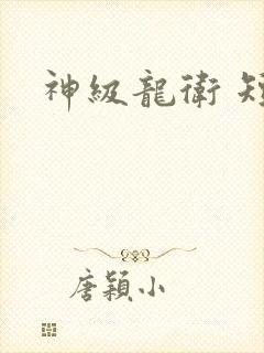 神级龙卫 短剧