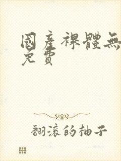 国产裸体无遮挡免费