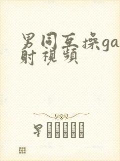 男同互操gay射视频