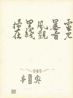 扫黑风暴电视剧在线观看免费观看