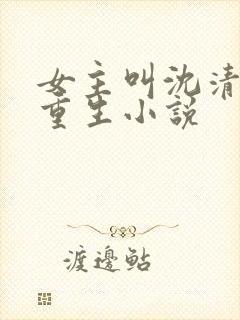 女主叫沈清婉的重生小说