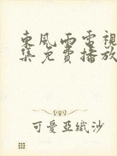 东风雨电视剧全集免费播放在线观看封面