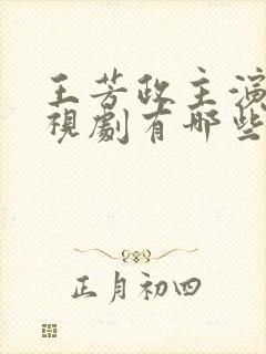 王芳政主演的电视剧有哪些封面