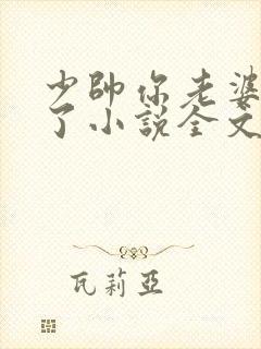少帅你老婆又跑了小说全文阅读封面