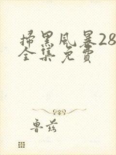 扫黑风暴28集全集免费