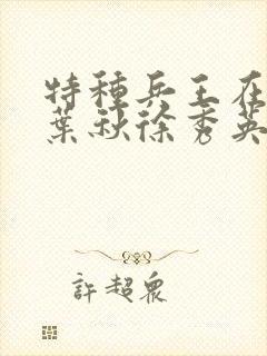 特种兵王在山村叶秋徐秀英
