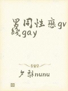 男同性恋gv在线gay封面