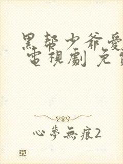 黑帮少爷爱上我 电视剧 免费观看