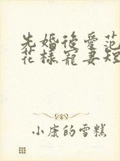 先婚后爱范总的花样宠妻短剧全集封面