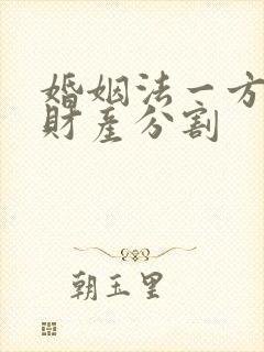 婚姻法一方出轨财产分割