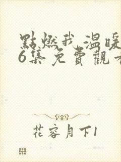 点燃我温暖你36集免费观看下载