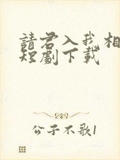 请君入我相思局短剧下载