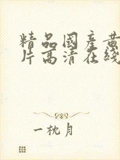 精品国产黄a∨片高清在线