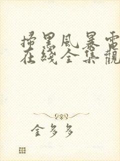 扫黑风暴电视剧在线全集观看封面