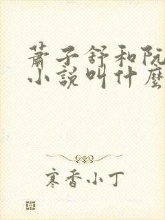 萧子舒和阮阮的小说叫什么名字