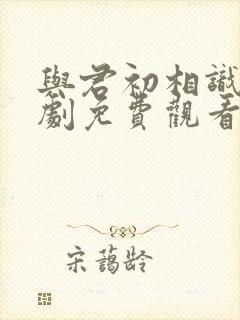 与君初相识电视剧免费观看全集在线