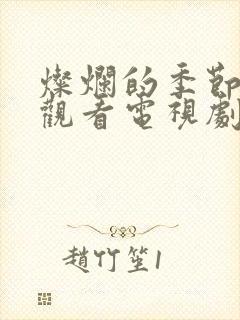 灿烂的季节免费观看电视剧全集封面