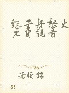 甄子丹怒火重案免费观看