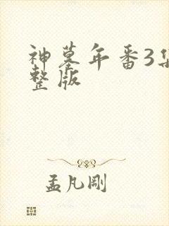 神墓年番3集完整版封面