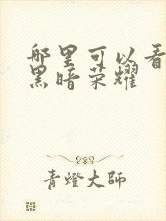 哪里可以看韩剧黑暗荣耀