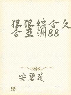 狠狠综合久久综合亚洲88封面