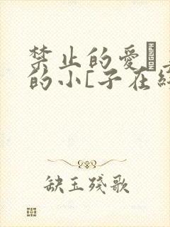 禁止的爱·善良的小[子在线