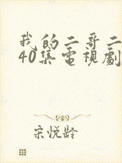 我的二哥二嫂第40集电视剧