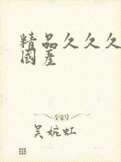 精品久久久久久国产