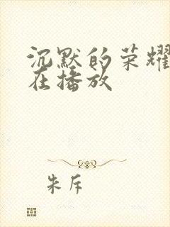 沉默的荣耀哪台在播放