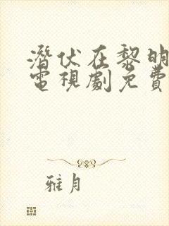 潜伏在黎明之前电视剧免费播放