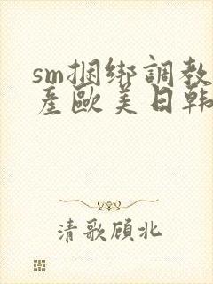 sm捆绑调教国产欧美日韩在线封面