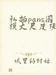 私拍pans国模大尺度视频在线