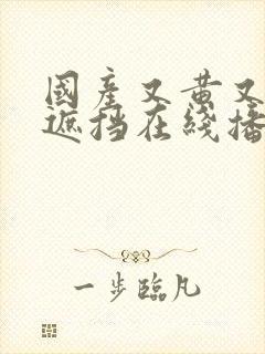 国产又黄又爽无遮挡在线播放