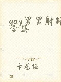 gay男男射精合集封面