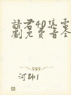 请君40集电视剧免费看全集